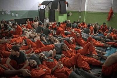  همه چیز درباره جابجایی اسرای داعشی