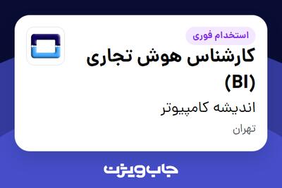  استخدام کارشناس هوش تجاری (BI) در اندیشه کامپیوتر