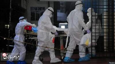 ویروس «نیپا» چیست و چقدر باید نگران آن باشیم؟ - مردم سالاری آنلاین