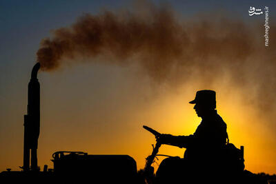 عکس/ صید ماهی در خزر