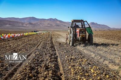 حذف ارز ترجیحی؛ نقطه عطف اصلاح ساختار کشاورزی و تقویت تولید داخلی