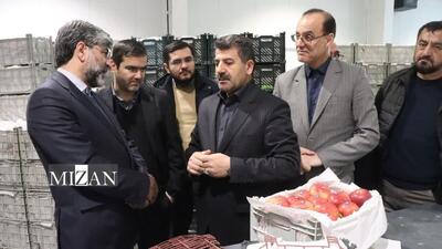 صیانت و حفظ اشتغال ۴۰۰ نفر نیروی کار با ورود مستقیم دادگستری آذربایجان غربی در یک واحد تولیدی صادرات محور با صادرات ۱۲۰ هزار تن میوه