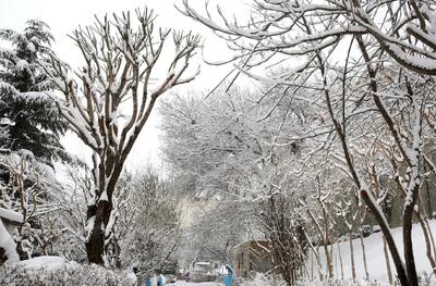 برف و کولاک و بهمن از سه شنبه در این مناطق/ البرز، تهران، قم و اصفهان منتظر سرمای استخوان سوز
