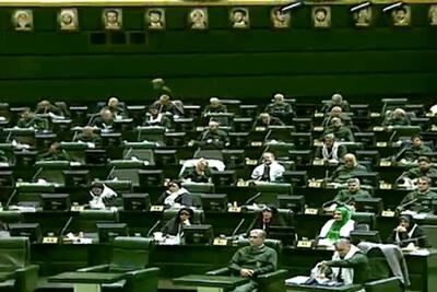 مجلس یکدست سبزپوش شد