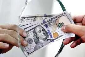 آمار حیرت‌انگیز همتی / بازار ارز زیر و رو شد