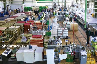 نگرانی بخش خصوصی از افزایش مالیات‌ها | خطر فلج شدگی تولید با افزایش مالیات‌ها