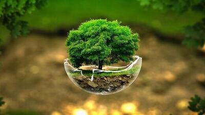  انتقاد کارشناسان از سهم ناچیز محیط زیست از بودجه ۱۴۰۵