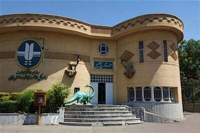  بازدید رایگان از موزه تاریخ طبیعی زنجان در دهه فجر