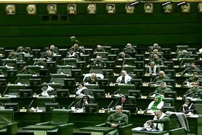 مجلس سبزپوش شد+عکس