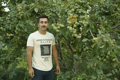 تولید بیش از 2 میلیون نهال شناسنامه دار در رویال نهال و ارسال به سراسر کشور