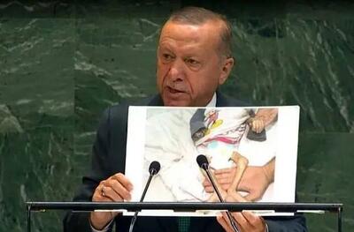 محورهای سفر «اردوغان» به عربستان و مصر