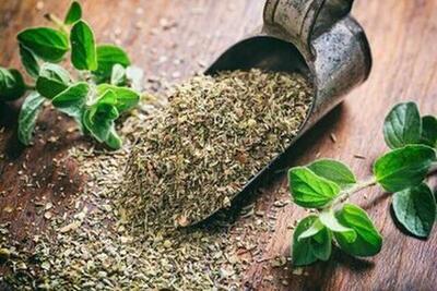  گیاه خوش‌عطری که برای کاهش فشار و چربی خون معجزه می‌کند