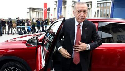  بازداشت یک اسرائیلی در ترکیه به دلیل اهانت به اردوغان