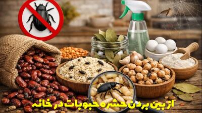  از بین بردن حشره حبوبات در خانه | حبوبات حشره زده رو میشه خورد؟