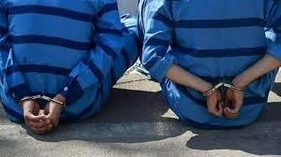  دستگیری سارقان منزل در لردگان