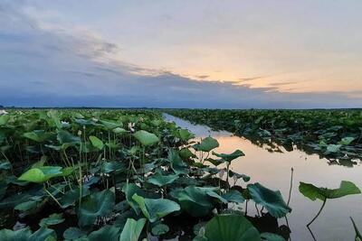 تاکید بر حفاظت از تالاب‌ها با تکیه بر دانش بومی و همکاری‌های ملی و بین‌المللی