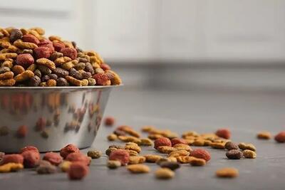 کشف محموله قاچاق غذای حیوانات خانگی در قشم