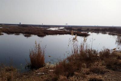  اسناد مالکیت 16 تالاب ایرانی صادر شد