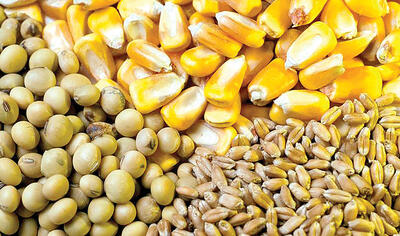 تخصیص ۷۰ همت برای تامین سرمایه در گردش دامداران و مرغداران