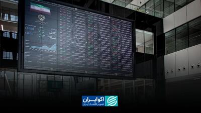 مهدی دولت: سهم‌های صادرات محور بسیار ارزنده هستند