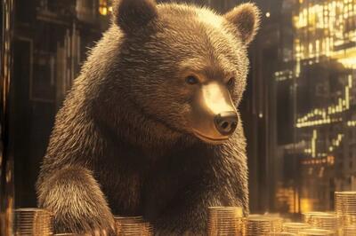 ترامپ، رفتار ترامپ، نوچه ترامپ!