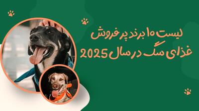  معروف ترین برندهای غذای سگ در دنیا؛ لیست 4 برند پر فروش