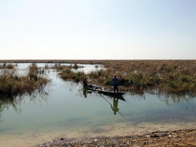 تالاب‌ها؛ ستون‌های نامرئی زندگی