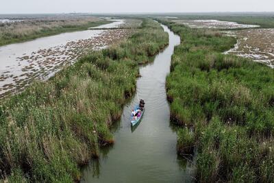 سوگ‌نامه تالاب‌ها در سرزمین پارس