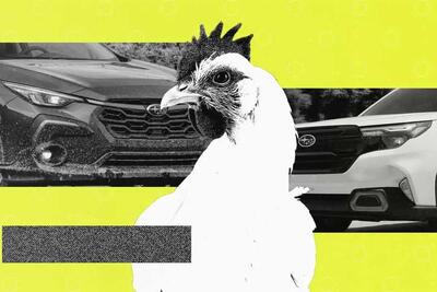 تعداد بالای سگ، مرغ، خروس و ماهی، در آمار سرنشینان سوبارو! - پدال