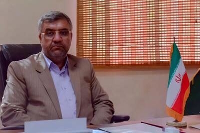 تصمیمات جدید برای واردات گوشت، دسترسی مردم آسان می‌شود