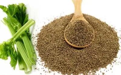  معجزه تخم یک گیاه دم‌دستی؛ پاکسازی بدن، تقویت کبد و تسکین درد مفاصل