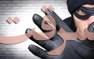 نزولی شدن آمار سرقت در دی ۱۴۰۴