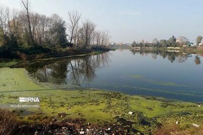 مشارکت محلی، تالاب‌ها را به نقشه بازمی‌گرداند