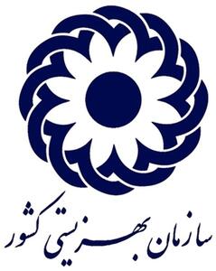  بیش از ۱۸ هزار پروژه اشتغال‌زایی بهزیستی وارد چرخه تولید شد