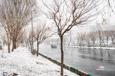 ورود سامانه بارشی به ایران از اواخر وقت امروز/ وزش باد شدید در نیمه شرقی و مرکز کشور