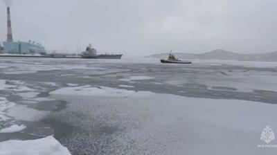  سگ‌ها دو روز را روی یک تکه یخ شکسته در سواحل کامچاتکا روسیه گذراندند