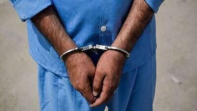  بازداشت 85 عامل تخریبگر اموال مردم در استان چهارمحال و بختیاری ایران