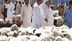 فرآیند چگونگی واریز وجه قربانی حج تمتع ۱۴۰۵