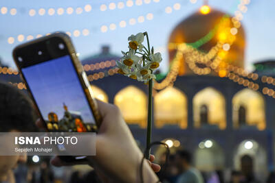 عکس/ حال و هوای شب نیمه شعبان در مشهد