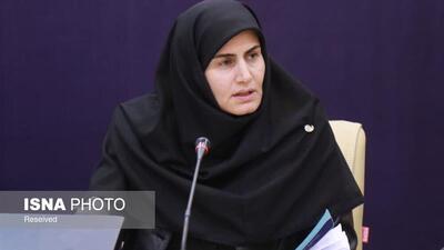 معاون استاندار زنجان: انرژی، محور اصلی توسعه اقتصادی استان است