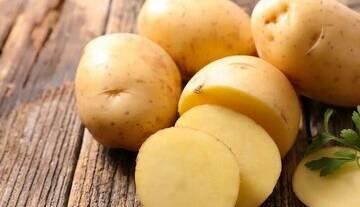 سیب زمینی‌های سبز و جوانه‌زده خطرناک هستند؟