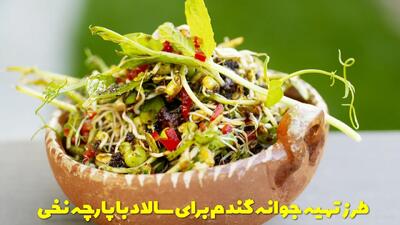  طرز تهیه جوانه گندم برای سالاد با پارچه نخی تصویری و مرحله به مرحله