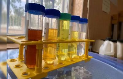 تولید کود کشاورزی از ضایعات صنعتی در دانشکده محیط زیست دانشگاه تهران