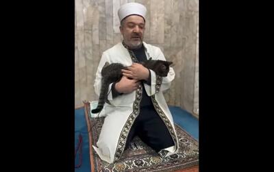  رفتار حیرت انگیز امام جماعت با یک گربه پربازدید شد