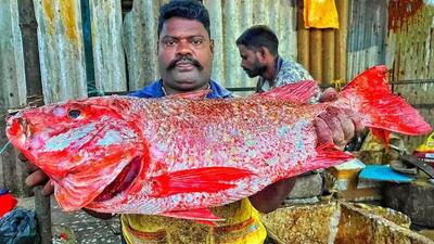  برش زدن ماهرانه ماهی اسنپر قرمز توسط ماهی فروش هندی در کنار خیابان