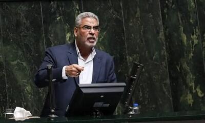  یک نماینده، همکارش را «اقتصاددان قلابی» خواند