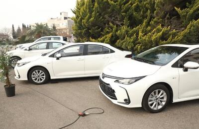  خودداری از پیش خرید خودروهای پلاک منطقه آزاد مازندران / لیست شرکت‌های مجاز هفته آینده اعلام می‌شود