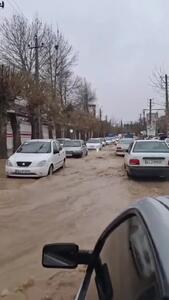  ببینید/ وقوع سیلاب؛ بارش‌های سیل‌آسا این شهر را غافلگیر کرد