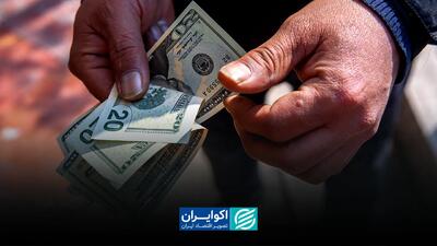 سیف: بازار ارز با دستور آرام نمی‌شود