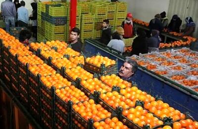 چه خبر از میوه شب عید؟